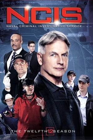 NCIS Season 12 online free