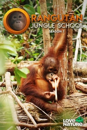 Orangutan Jungle School Season  1 online