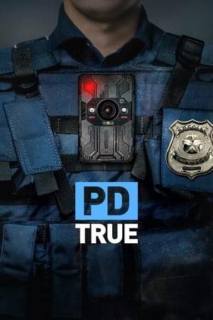 PD True Season  1 online