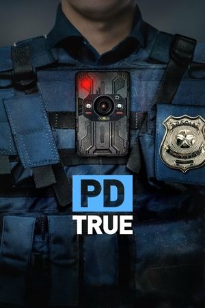 PD True Season  2 online