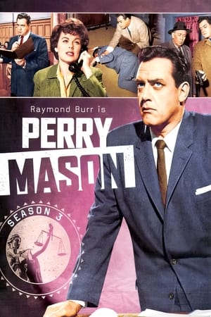 Perry Mason Season  3 online