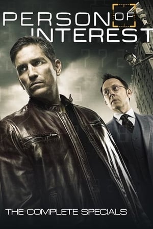 Person of Interest T 0 C 1 online gratis