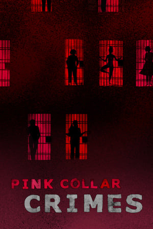 Pink Collar Crimes online free