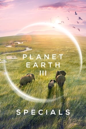 Planet Earth III T 0 C 3 online gratis