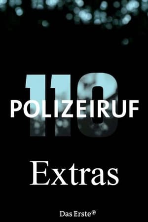 Polizeiruf 110 Season  0 online