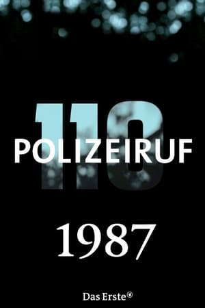 Polizeiruf 110 T 17 C 8 online gratis