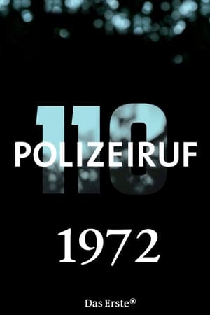 Polizeiruf 110 Season  2 online