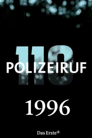 Polizeiruf 110 Season  25 online