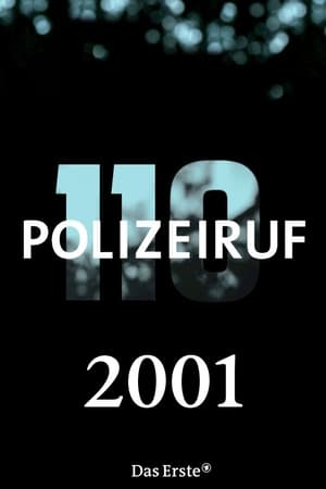 Polizeiruf 110 T 30 C 1 online gratis