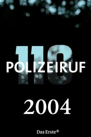 Polizeiruf 110 T 33 C 10 online gratis