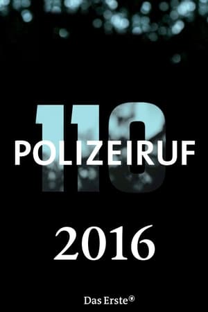 Polizeiruf 110 Season 45 online free