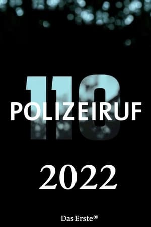 Polizeiruf 110 Season  51 online