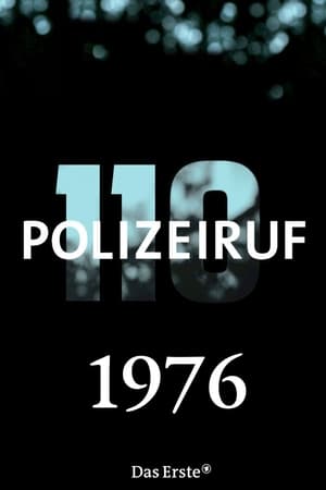 Polizeiruf 110 Season  6 online