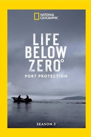 Port Protection Alaska Season  3 online