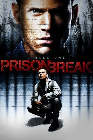 Prison Break Season 1 online free