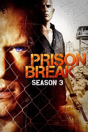 Prison Break Season 3 online free