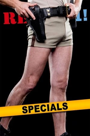 Reno 911! Season  0 online