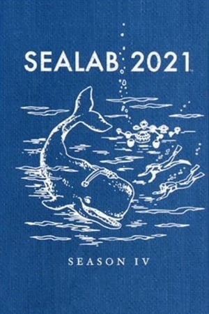 Sealab 2021 Season  4 online