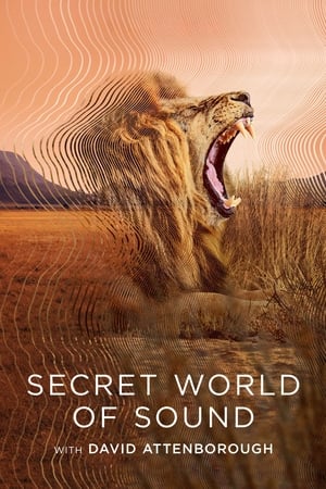 Secret World of Sound online free