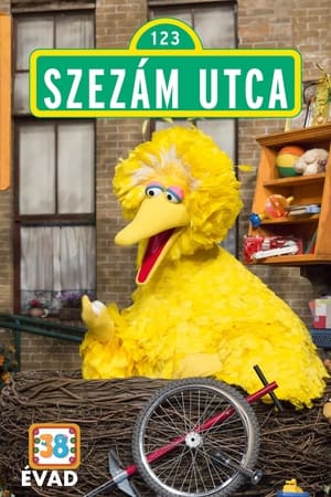 Sesame Street Season  38 online