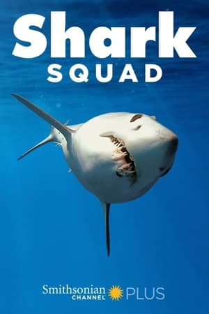 Shark Squad online free