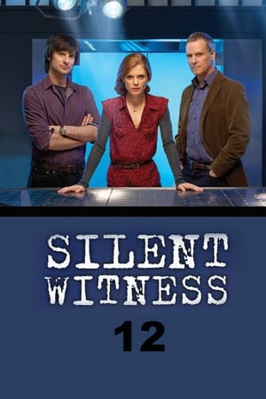 Silent Witness Season  12 online