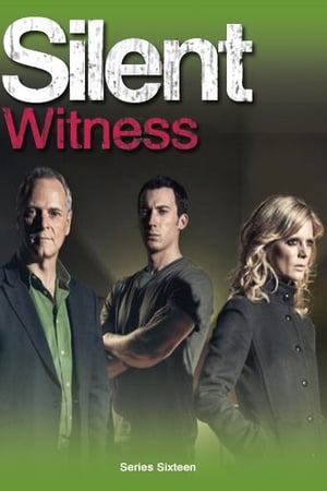 Silent Witness Season  16 online