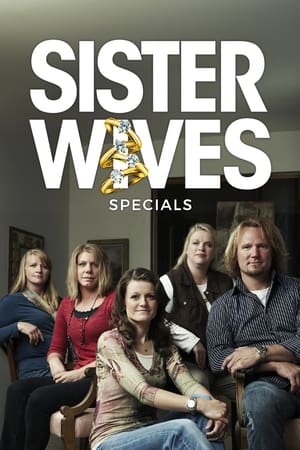 Sister Wives Season  0 online