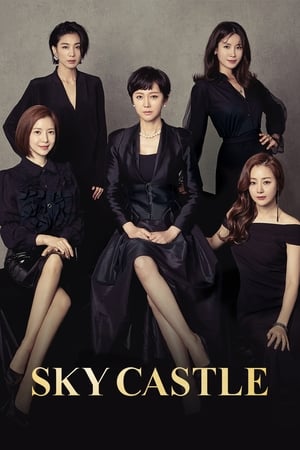 SKY Castle Season 0 online free