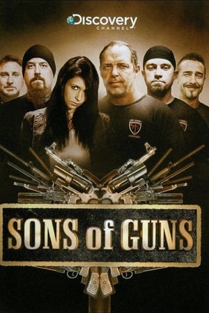 Sons of Guns online free