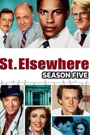 St. Elsewhere Season 5 online free