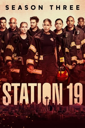 Station 19 Season 3 online free