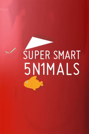 Super Smart Animals online free