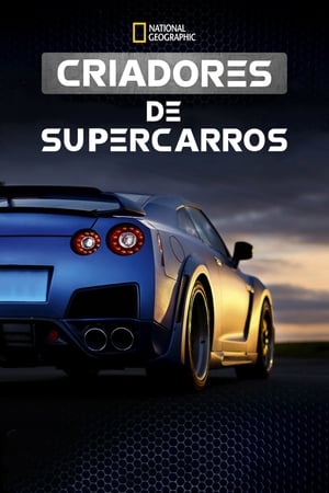 Supercar Megabuild T 1 C 8 online gratis