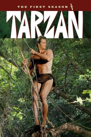 Tarzan Season  1 online