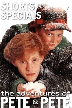 The Adventures of Pete & Pete Season  0 online