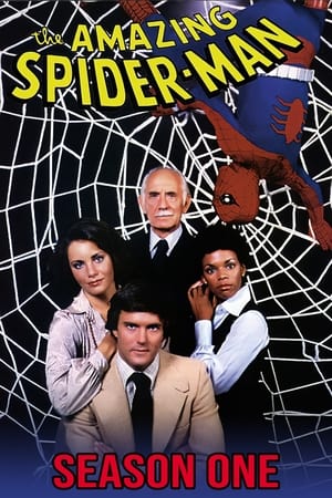 The Amazing Spider-Man Season  1 online