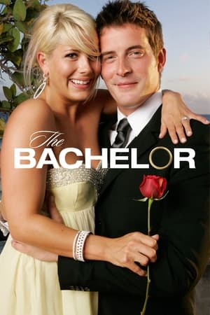 The Bachelor Season  12 online