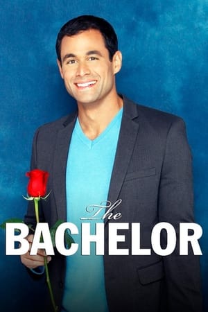 The Bachelor Season  13 online