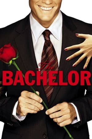 The Bachelor Season  14 online