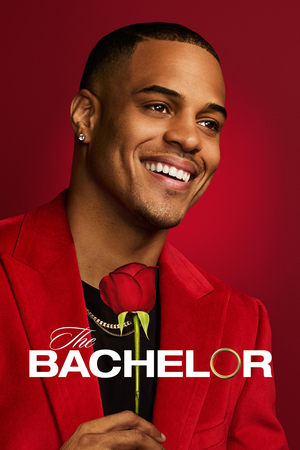 The Bachelor Season  29 online