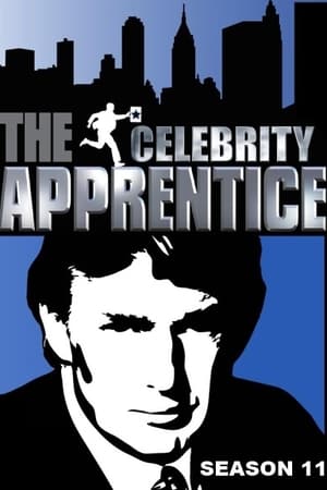 The Celebrity Apprentice Season  11 online