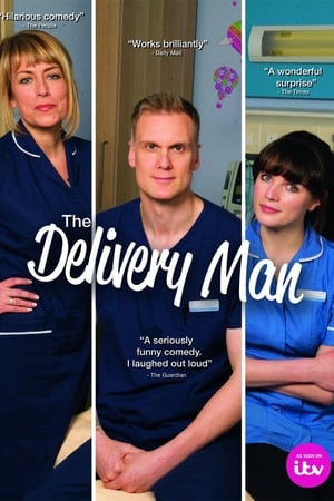 The Delivery Man online free