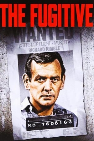 The Fugitive Season 0 online free