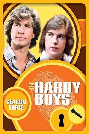 The Hardy Boys / Nancy Drew Mysteries Season  3 online