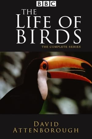 The Life of Birds online free