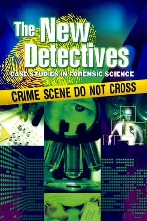 The New Detectives Season  2 online