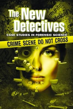 The New Detectives Season 3 online free