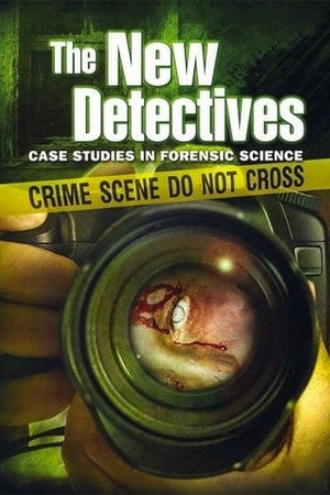 The New Detectives Season  4 online