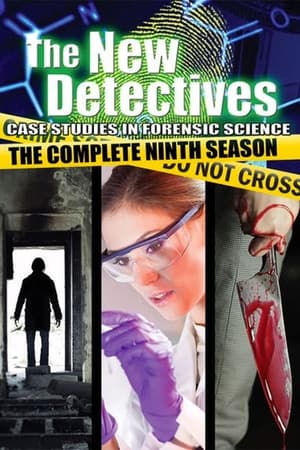 The New Detectives Season  9 online